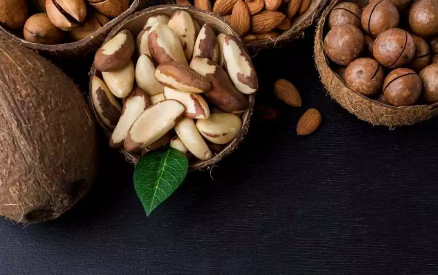 Best Nuts for Weight Loss 4 - Brazil Nuts