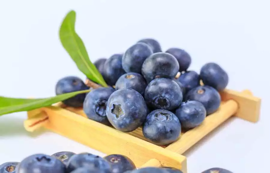 Fruits Good For Lungs 2 - Blueberries