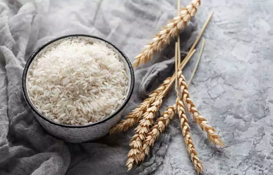 Rice is Good for Weight Loss 7