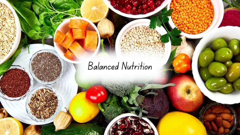Balanced Nutrition