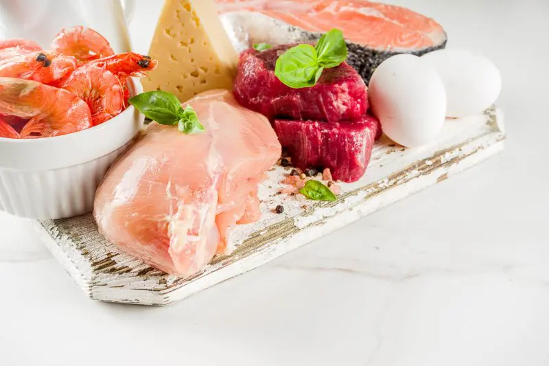 High Protein Foods For Picky Eaters